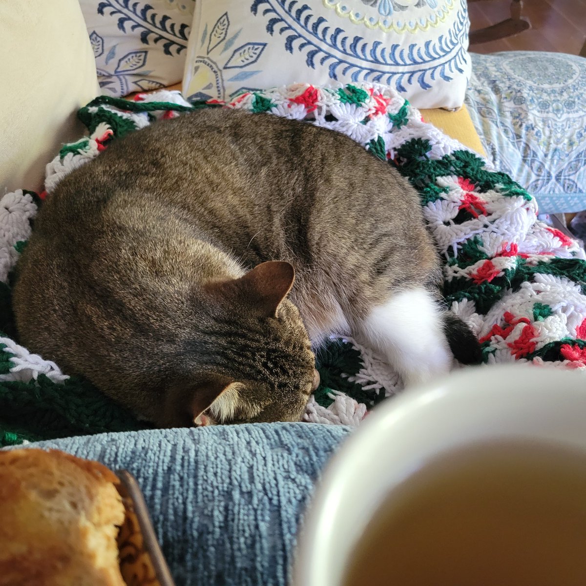 searching_catl's tweet photo. suddenly, it's a #chilly #teaandtoast #caturday with #Annabelle and #Labyrinth. we are both โฅ๏ธ it https://t.co/2cGYdqyMJf