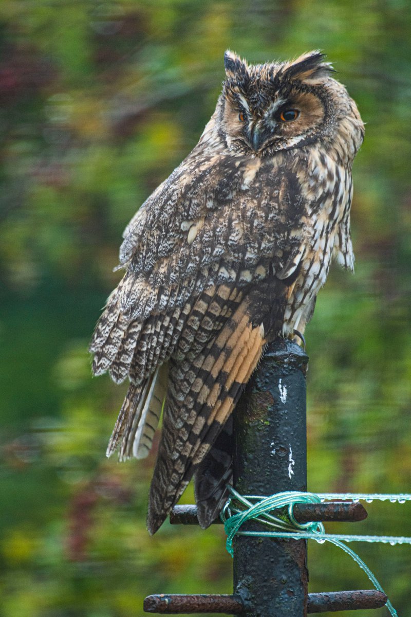Anthony Robson (no longer in Edinburgh!) tweet media