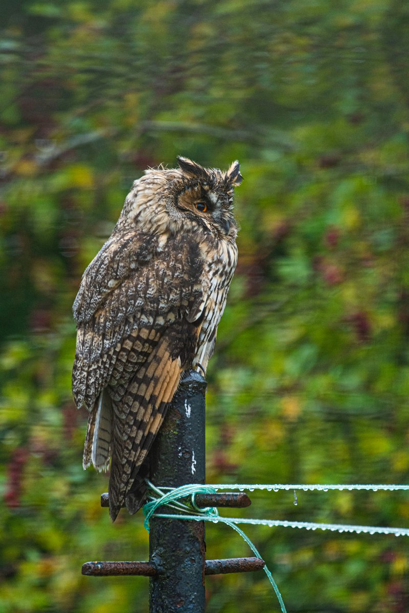 Anthony Robson (no longer in Edinburgh!) tweet media