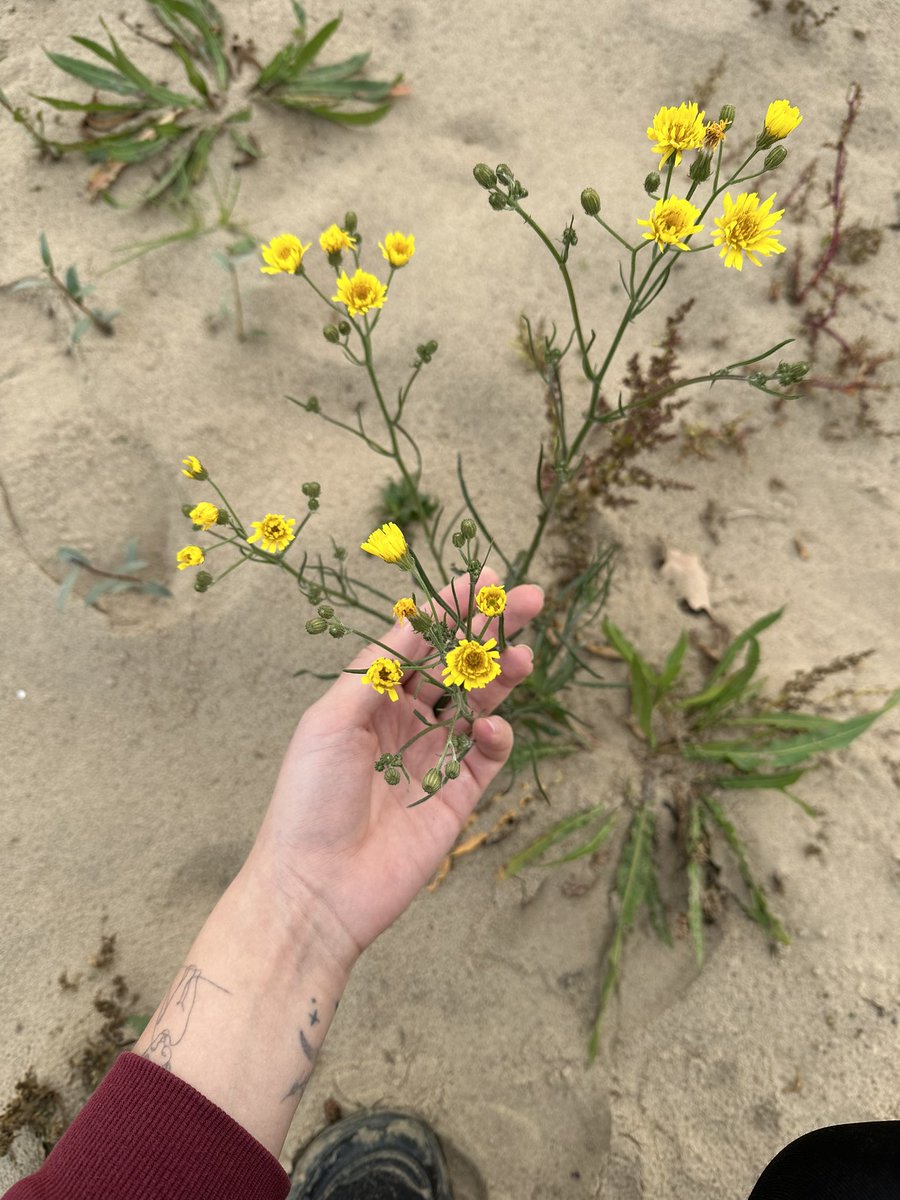 очередная экспедиция в татарской нормандии