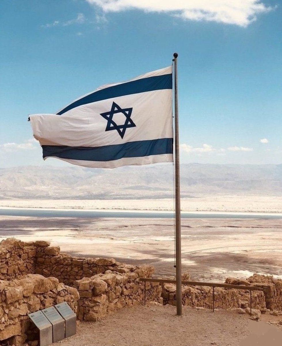 #Força Israel