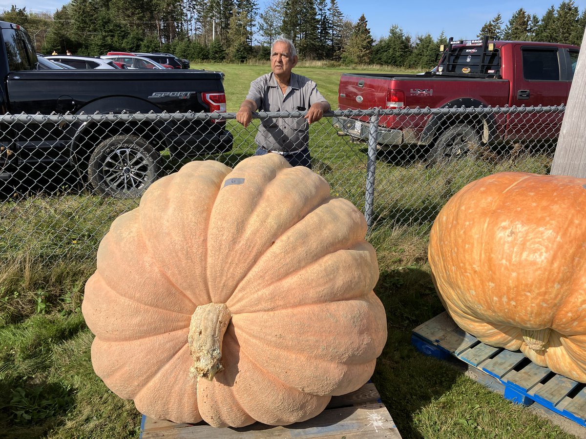 Dr NaqvI &amp; 1138 pound giant pumpkin at  Millville today