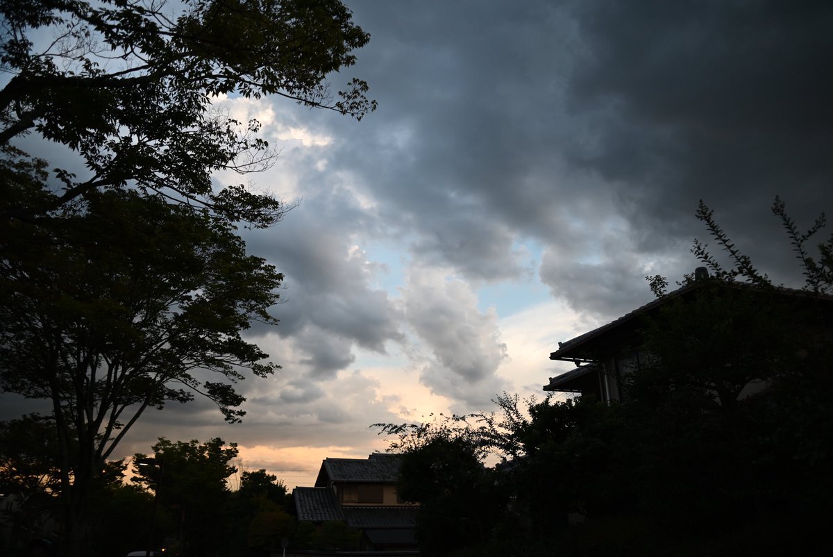 RakunanPhoto's tweet photo. ⑤ https://t.co/bP3POk8pXt