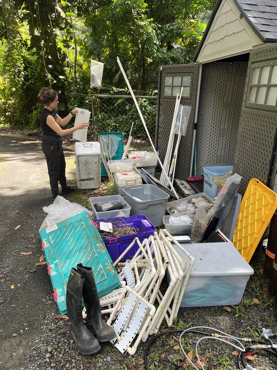 ARamirez Lab tweet media