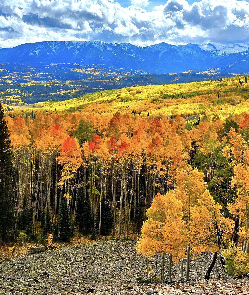 DenverChannel's tweet photo. "🍁The color was marvelous at Ohio Pass on 10/4/2023🍂"

📷 Jeanie Valentine in Discover Colorado | Through Your Photos. https://t.co/sxDwuifFbr