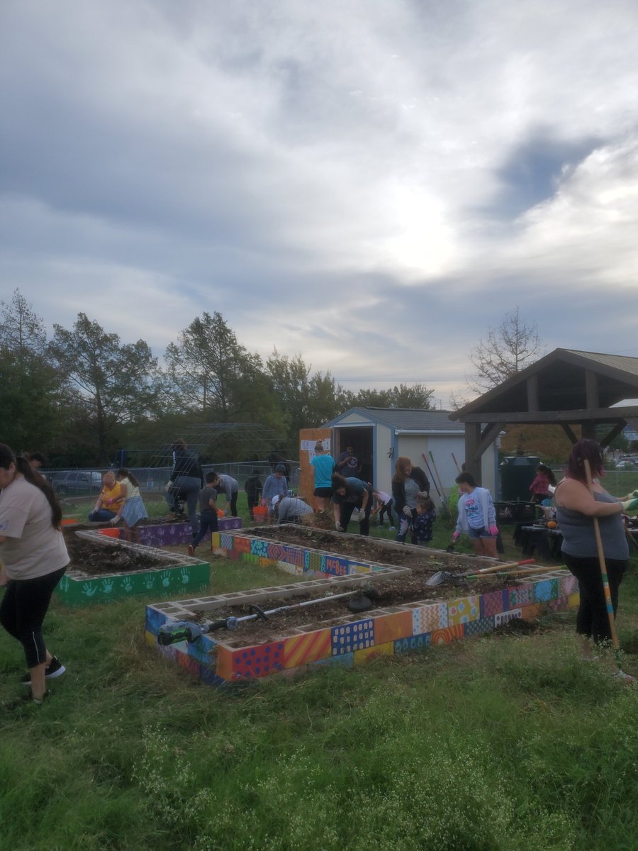 McBeeChapaGarci's tweet photo. Staff, parents, students, community members came together to get our garden ready for planting! @AustinISD @ElementaryMcbee @Ms_MMartinez @MsHuerta512 @AustinISDGreen @aisdparents https://t.co/2ejAYWR4wx