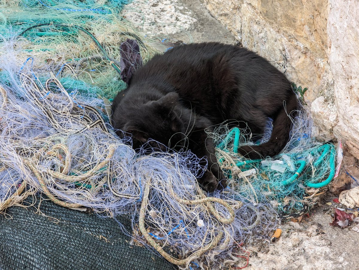 Aaron Hastings tweet media