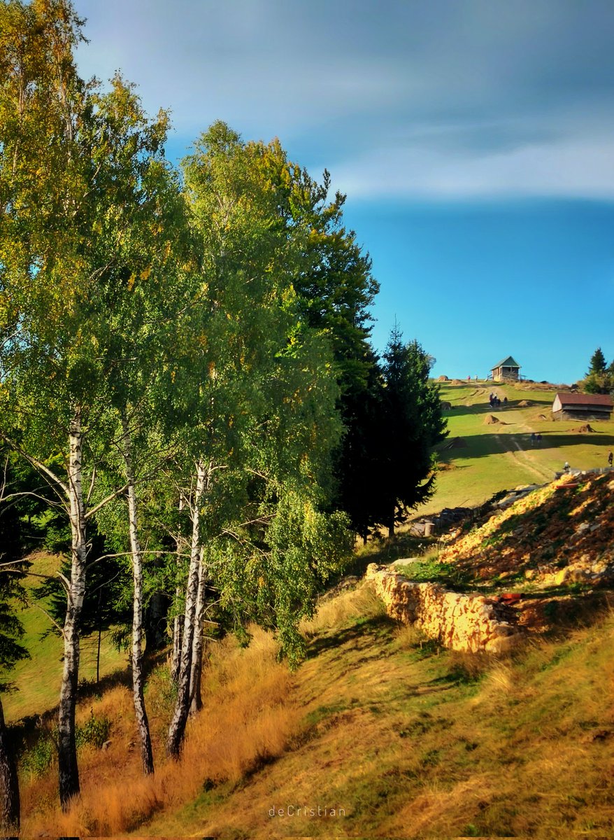 deCristian_'s tweet image. Big green Play. #mobilephotography #cutelefonul #samsunga52s #snapseed