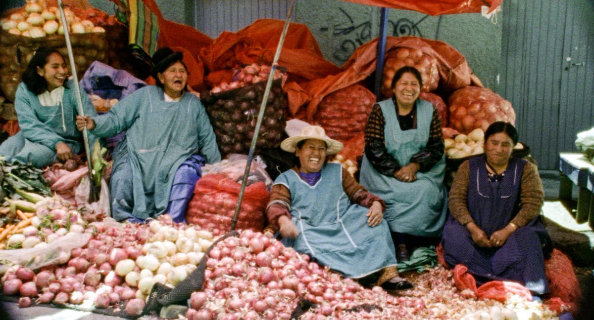 Salón de Belleza tweet media