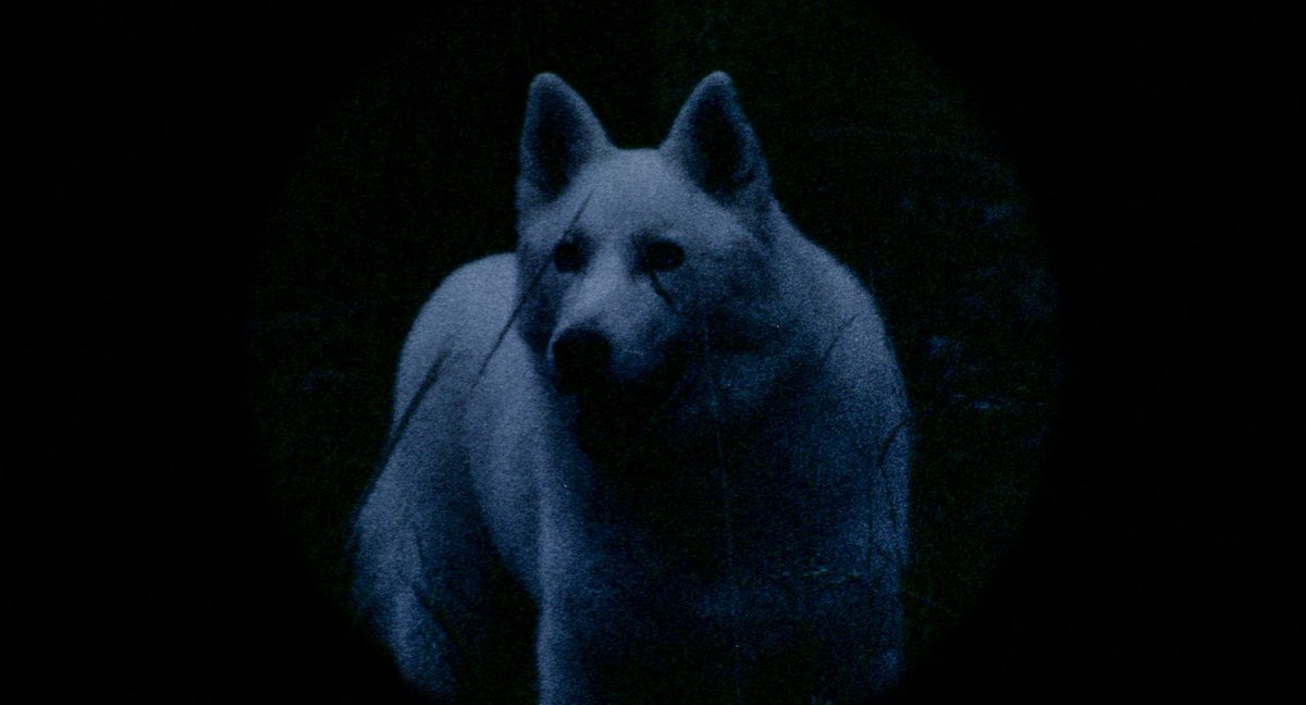 Salón de Belleza tweet media