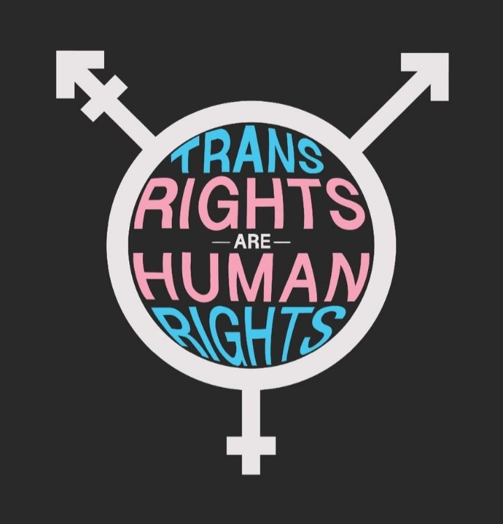 SuperioDOM_'s tweet photo. #transgenders #transgirls #transvite #femdom https://t.co/V3xp4nlzBc