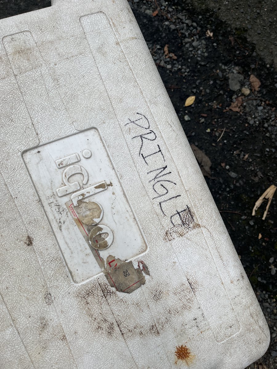 ARamirez Lab tweet media