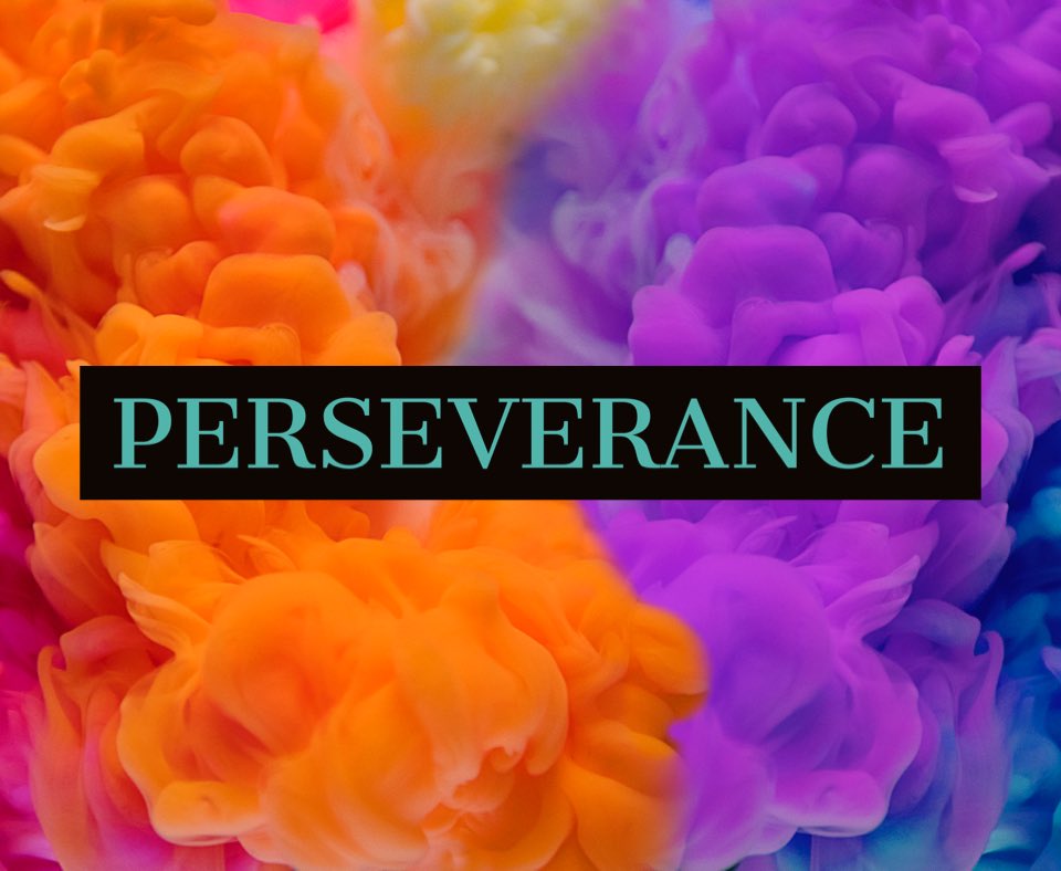 NCCEC_Conf's tweet photo. As we continue the pursuit to fulfill the mission of the NCCEC, we remain unshakable and persevere. 

We’ll see you soon! https://t.co/ITwD59QY2t