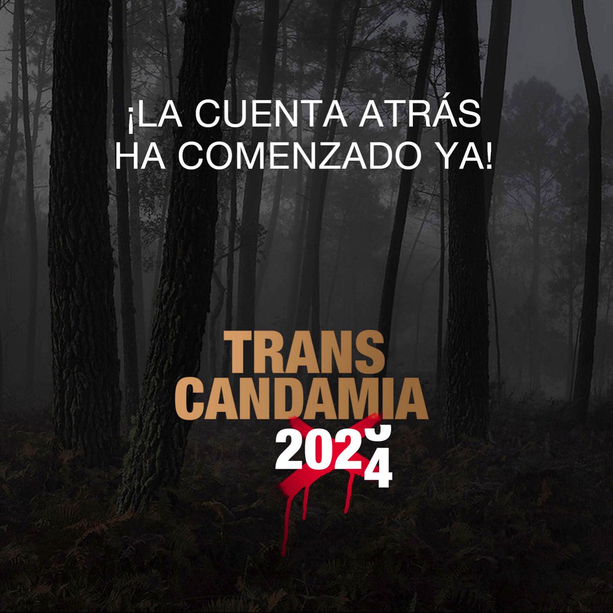 Transcandamia Marcha Nórdica tweet media