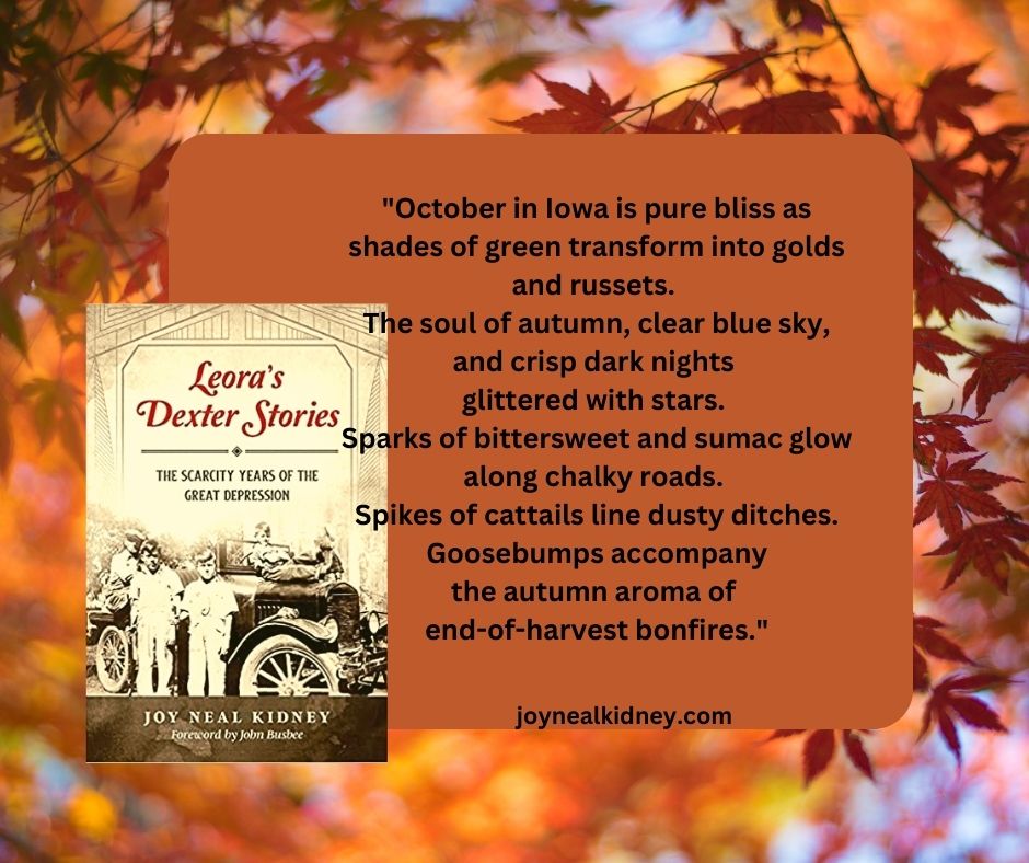 October in Iowa!

#LeorasDexterStories #GreatDepression #shortchapters #greatbookforstudents #DexterIowa #smalltown #DallasCountyIowa #poverty #familystories #heartwarming #hardtimes #FamilyHistoryMonth