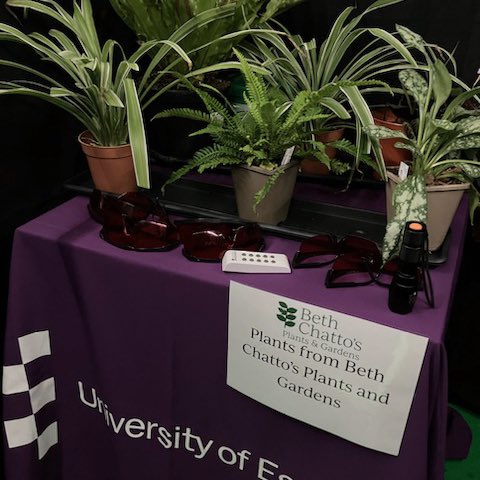 EPIC_Essex's tweet photo. Heading to #newscientistlive this weekend? Come check out our free immersive tent in the @FarmersWeekly future of Ag to see these plants glow @newscievents https://t.co/Fi66C5Y803