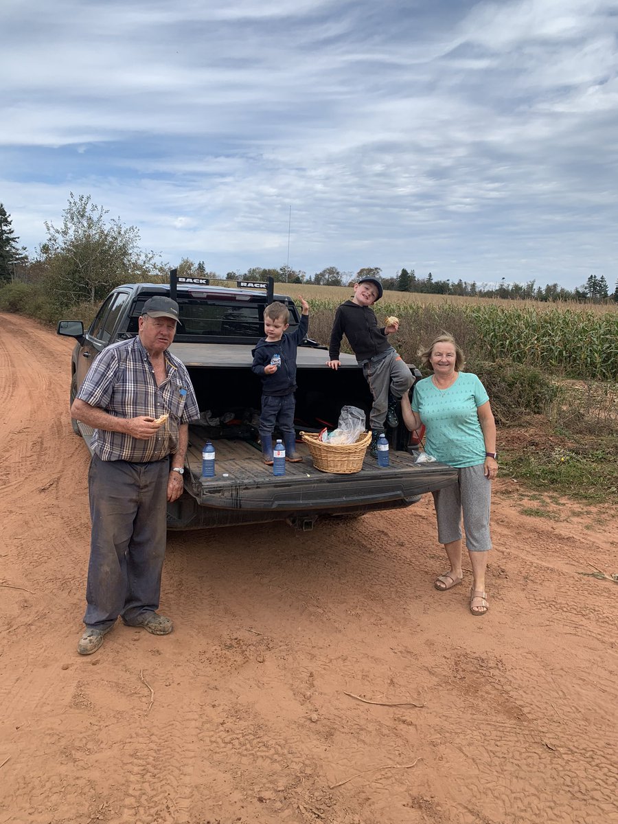 Steven Hamill tweet media