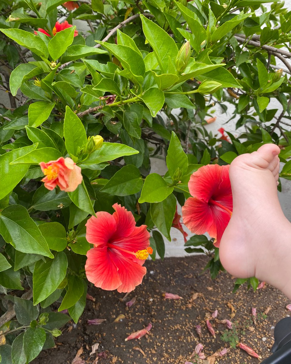 Feet & Flowers…all the smells I need! #DadLife