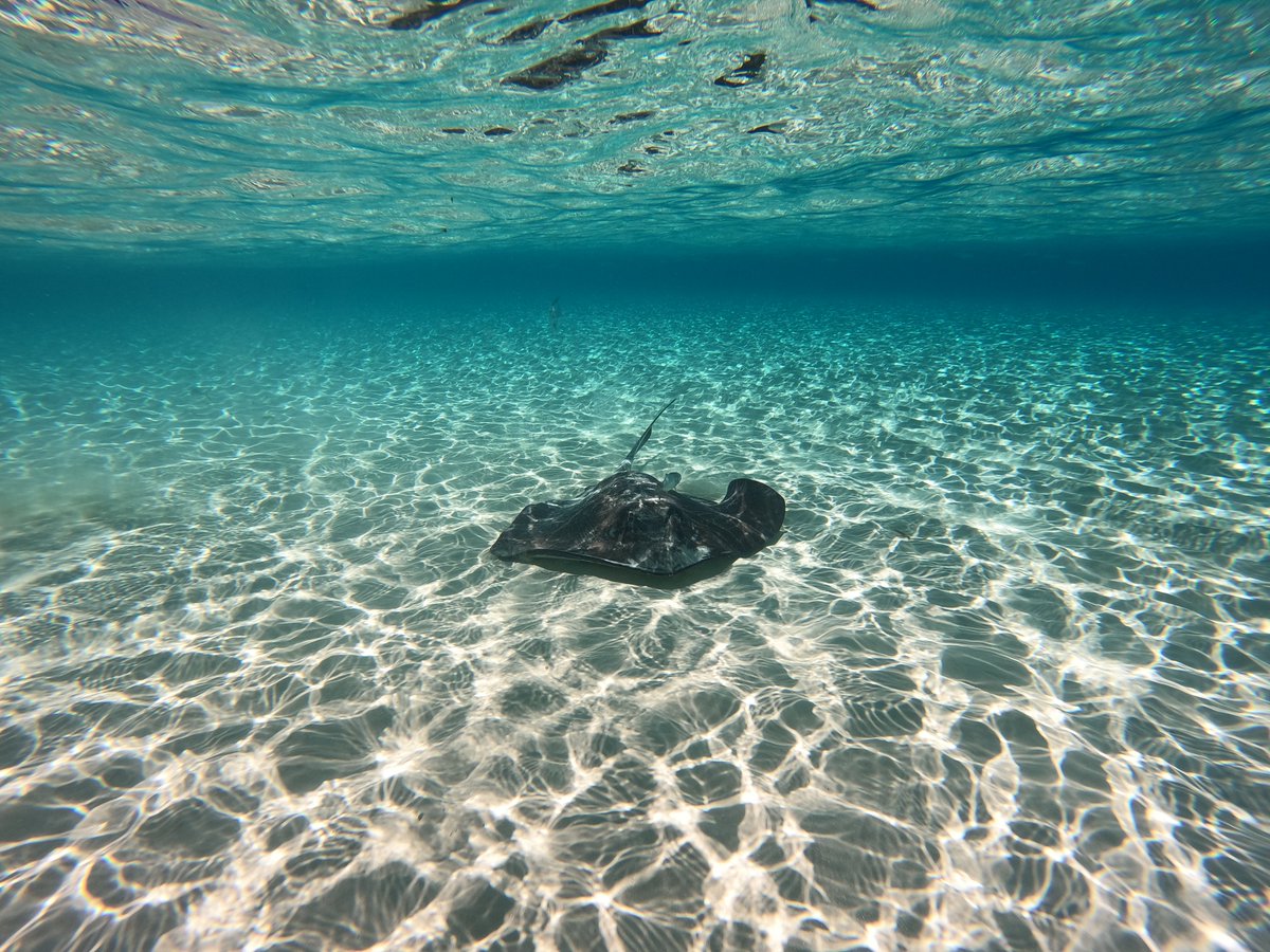 Jen 🐨 tweet media