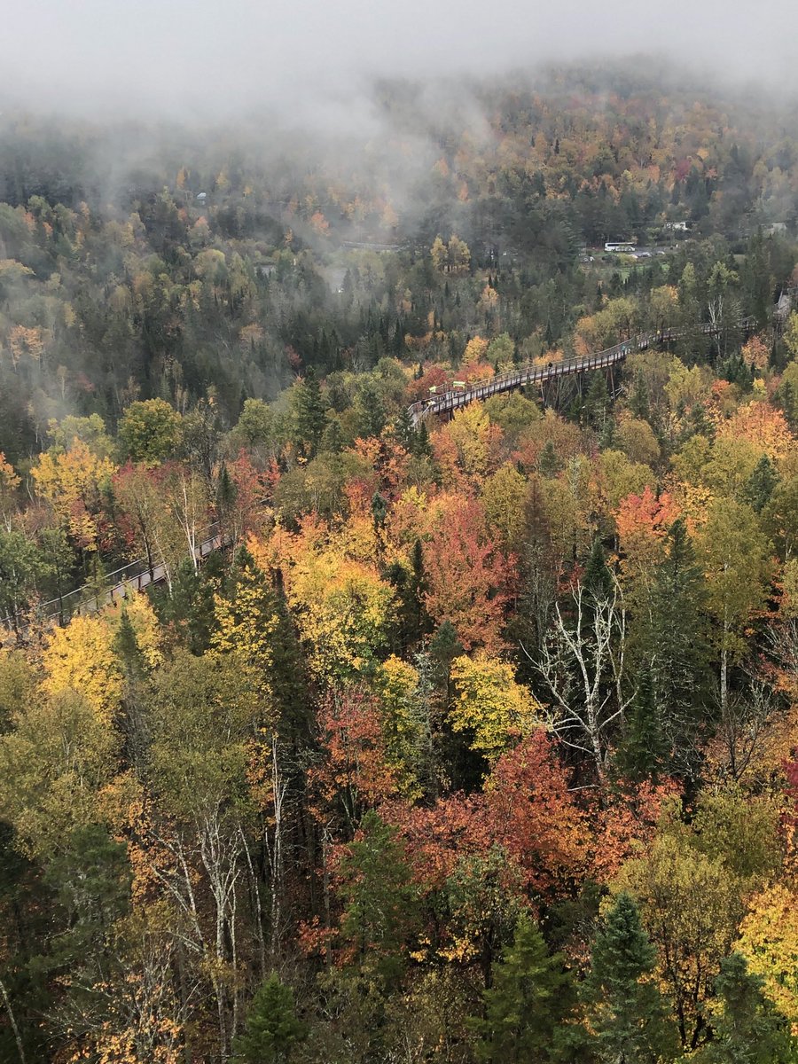 Francis Bilodeau tweet media