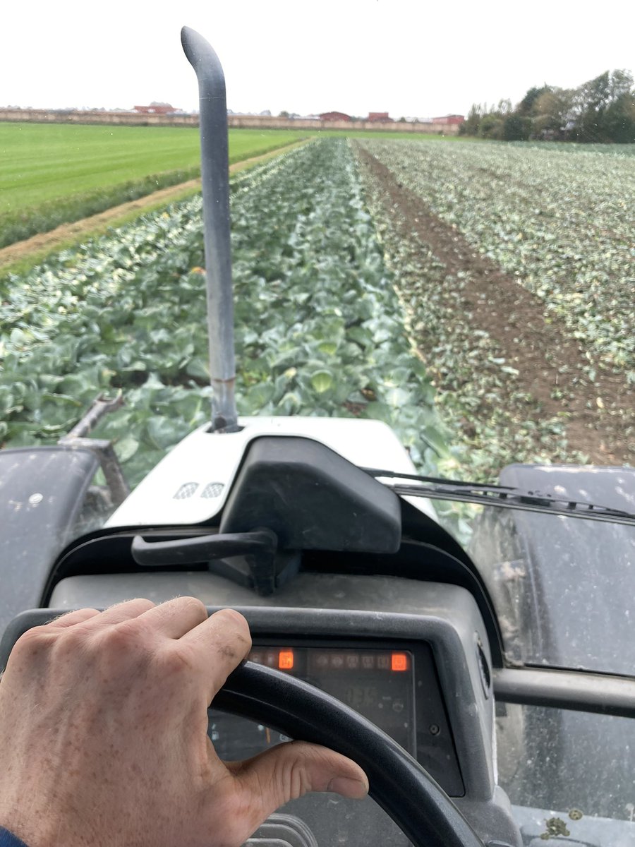 Remco Veldman tweet media