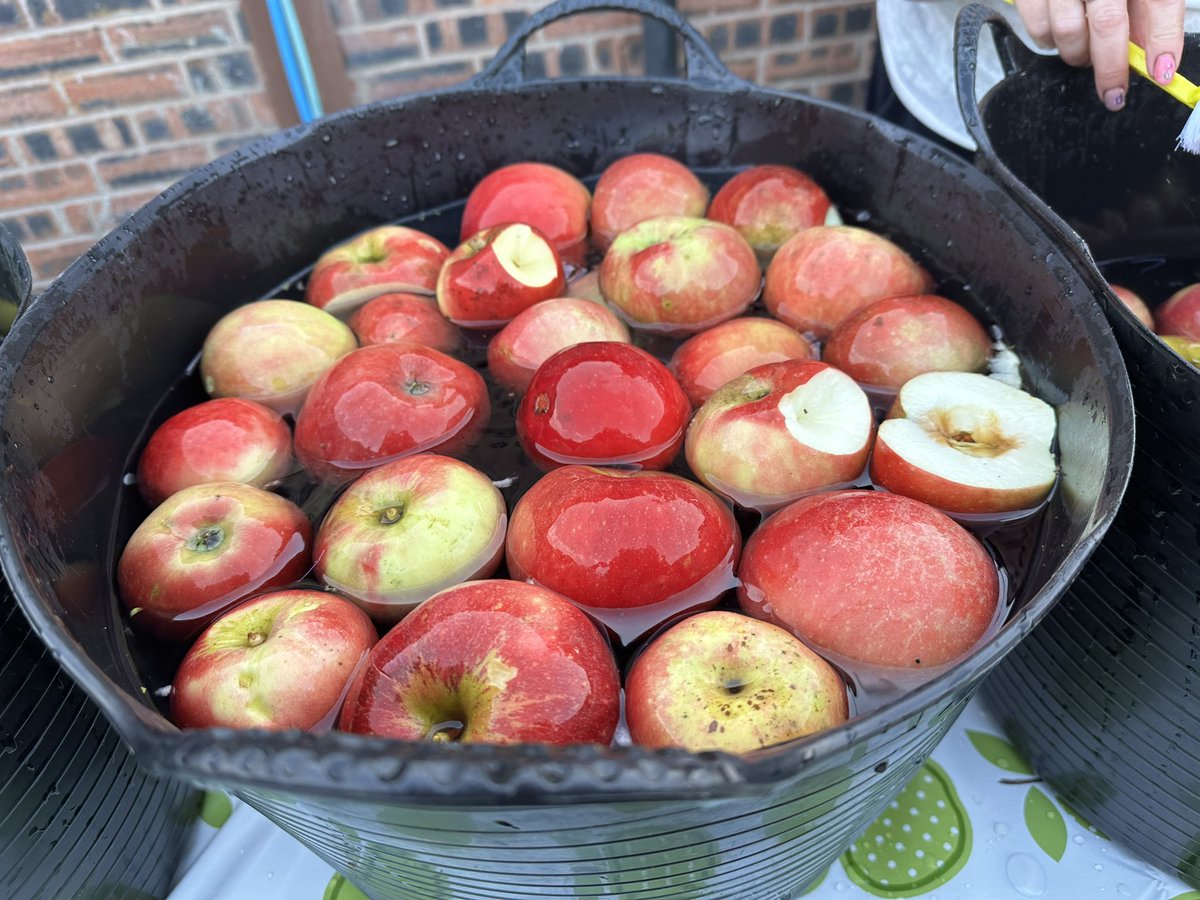 OperationFarm's tweet image. It was all hands on deck as we helped Mottram Rd Allotments set up their new apple press. With a bit of jiggery pokey, they’ll soon be squishing n slurping 🍎 
Thanks as always to @robimuir what a legend!