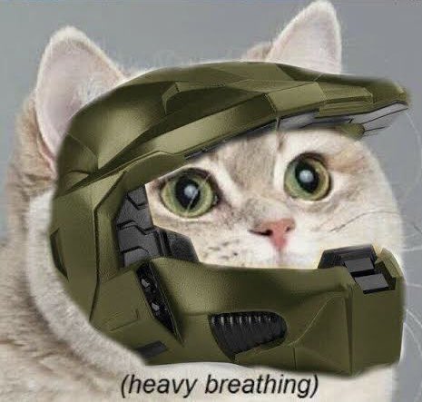 Mint Blitz tweet media