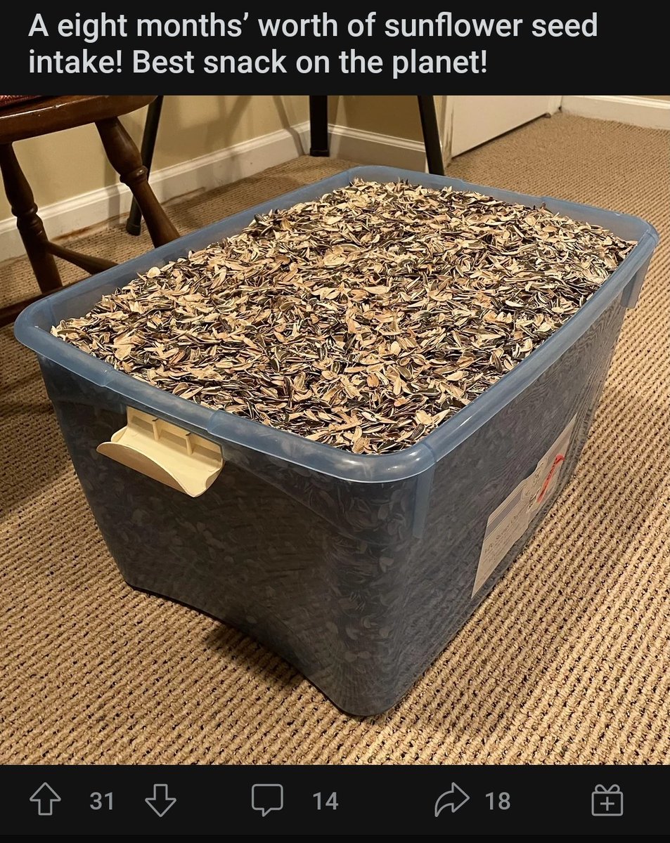 themouseyouknow's tweet image. I have no doubt that a squirrel posted this