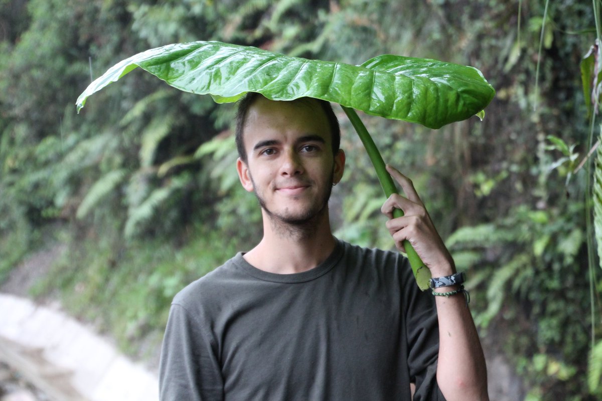 Lo de Bolivia ha sido increíble, una experiencia única, los paisajes, la gente, los helechos… todo impresionante.

No tengo más que palabras de agradecimiento por haberme dado la oportunidad de ir allí, he vivido cosas únicas y no todas las personas tienen mi misma suerte