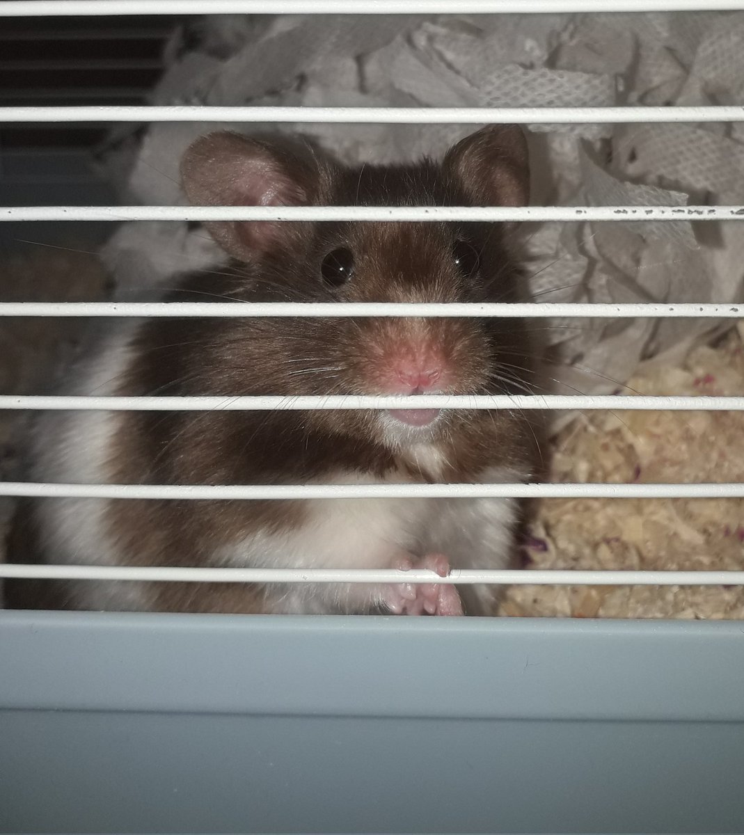 🍑 Mitzy 🍒 tweet media