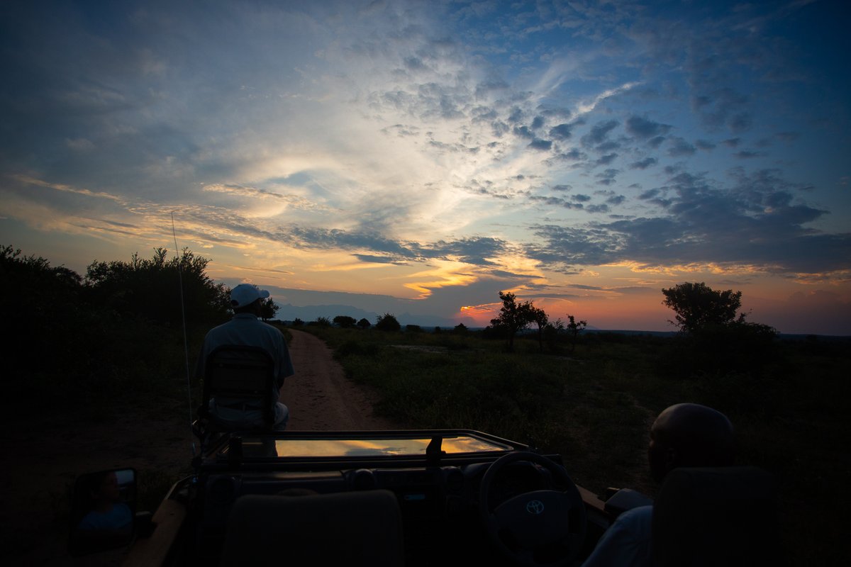 It's a sight that never fails to captivate us, and we consider ourselves incredibly fortunate to witness it 356 days a year! 

Head on over to our website to book that much need safari, and you too, could be admiring this magnificent view in person. 

makalali.co.za