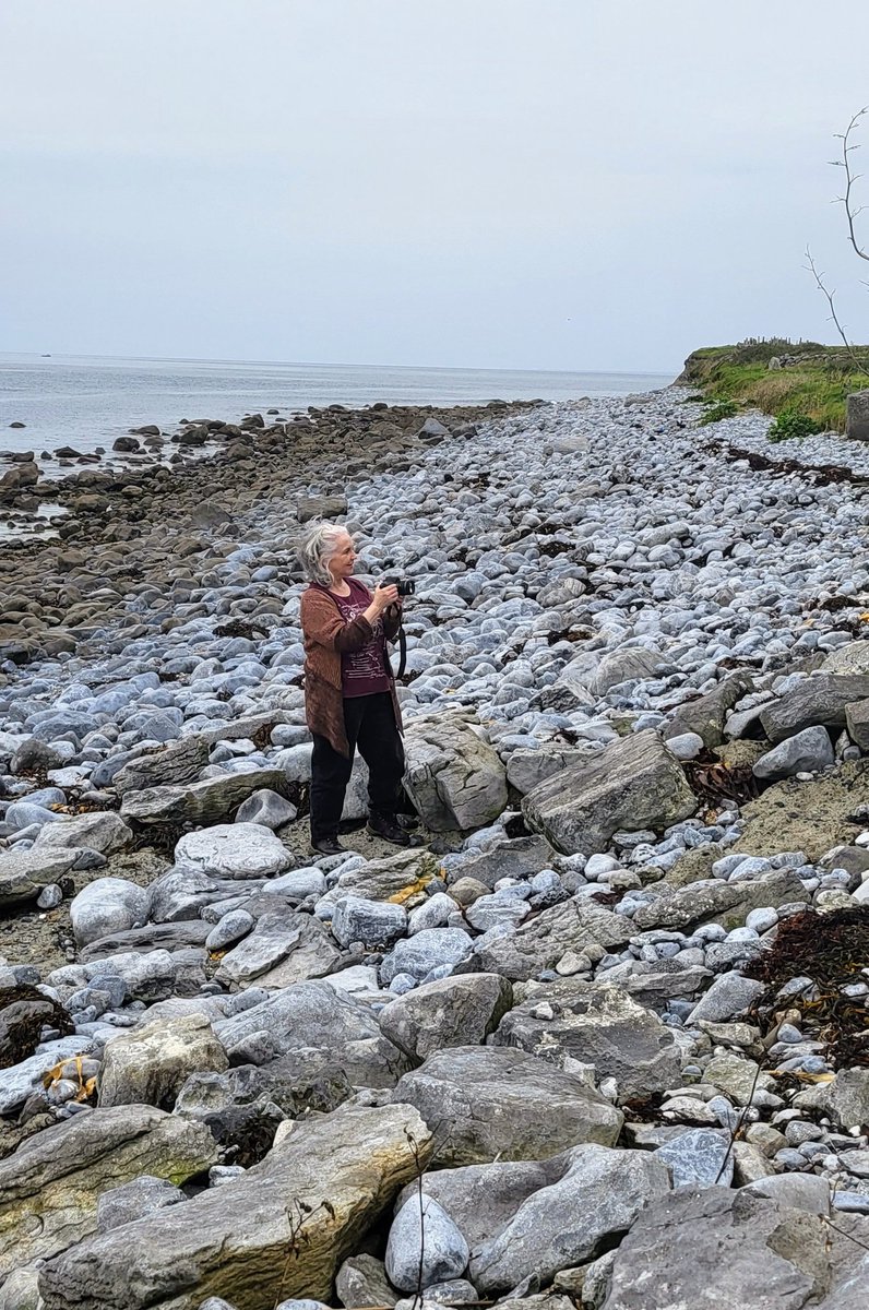 clarememories's tweet photo. We had a wonderful day 'walking the land' in Aughinish..exploring and recording stories and memories.. https://t.co/sqFdYteoD9