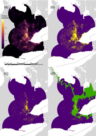 Just out! A model, led by undergraduate Andie Siemens, predicting the distribution of endangered Jefferson salamander in southern Ontario. More than half of suitable habitat occurs in Ontario’s #Greenbelt. 

Free to download here: 
int-res.com/articles/esr20…