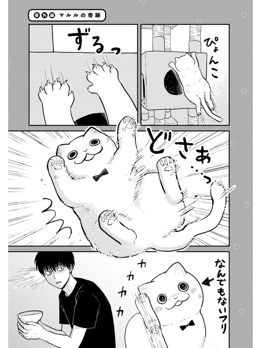 猫の運動能力 #ツレ猫マルルとハチ #マルルとハチ #漫画が読めるハッシュタグ