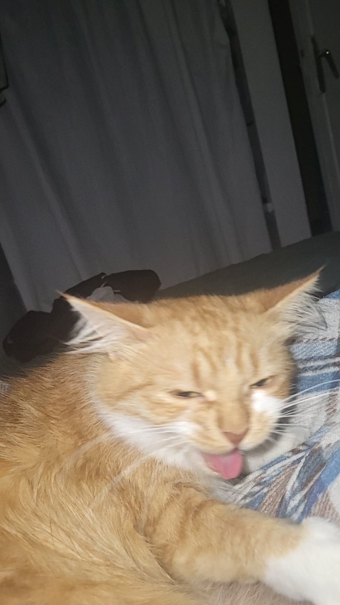 RaeloRae tweet media