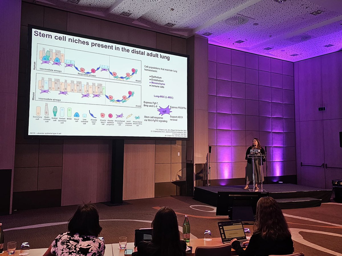 Our most recent PostDoc <a href="/MM_Barroso/">Margarida Maria Barroso 🔬</a> is presenting her work on influenza-infected epithelial cells increased resilience after BM-MSC therapeutic delivery 🫁 at #FusionLung23!