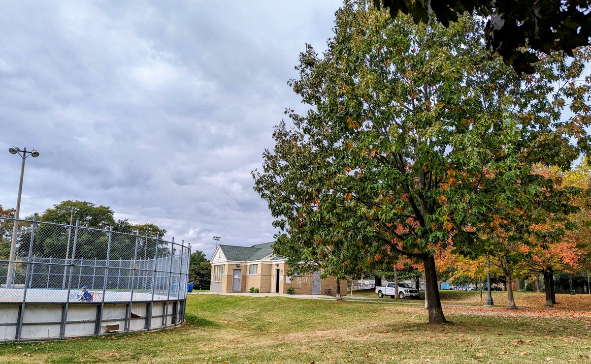 syncros's tweet image. It's raining lightly and sunny at the same time. I love October in Toronto.
#dlws