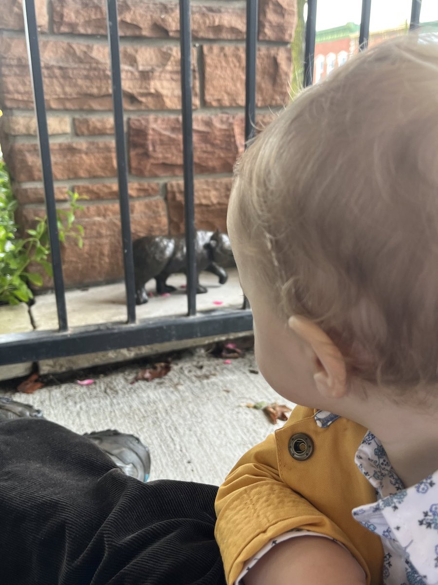 NNY_LN's tweet photo. It’s the bronze statues of characters from Brown Bear, Brown Bear placed around town for me #cantonfreelibrary #libraries https://t.co/3DzKZnhIVe