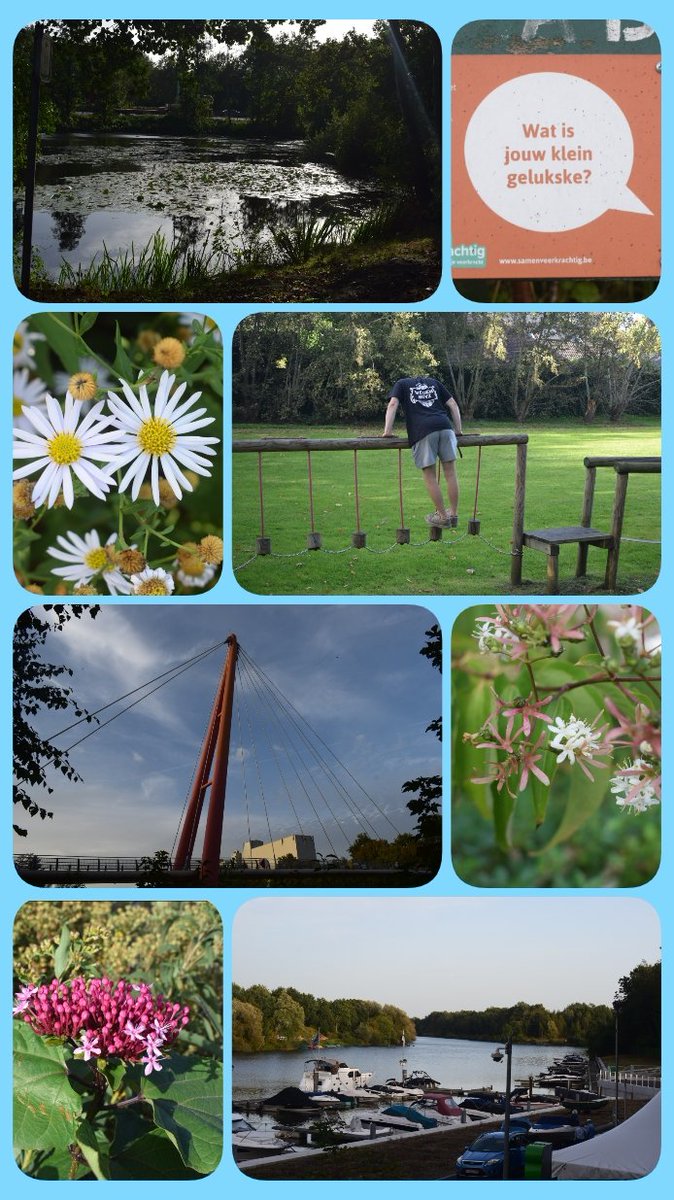 CoolsGreetje's tweet photo. #Beernem #Wandelen #Knooppunten #WeZijnTochWegGeweest #SamenVeerkrachtig #PinkRibbon #Horeca #Visput #Vaart #KleinGelukje https://t.co/h8c3HNFQe9