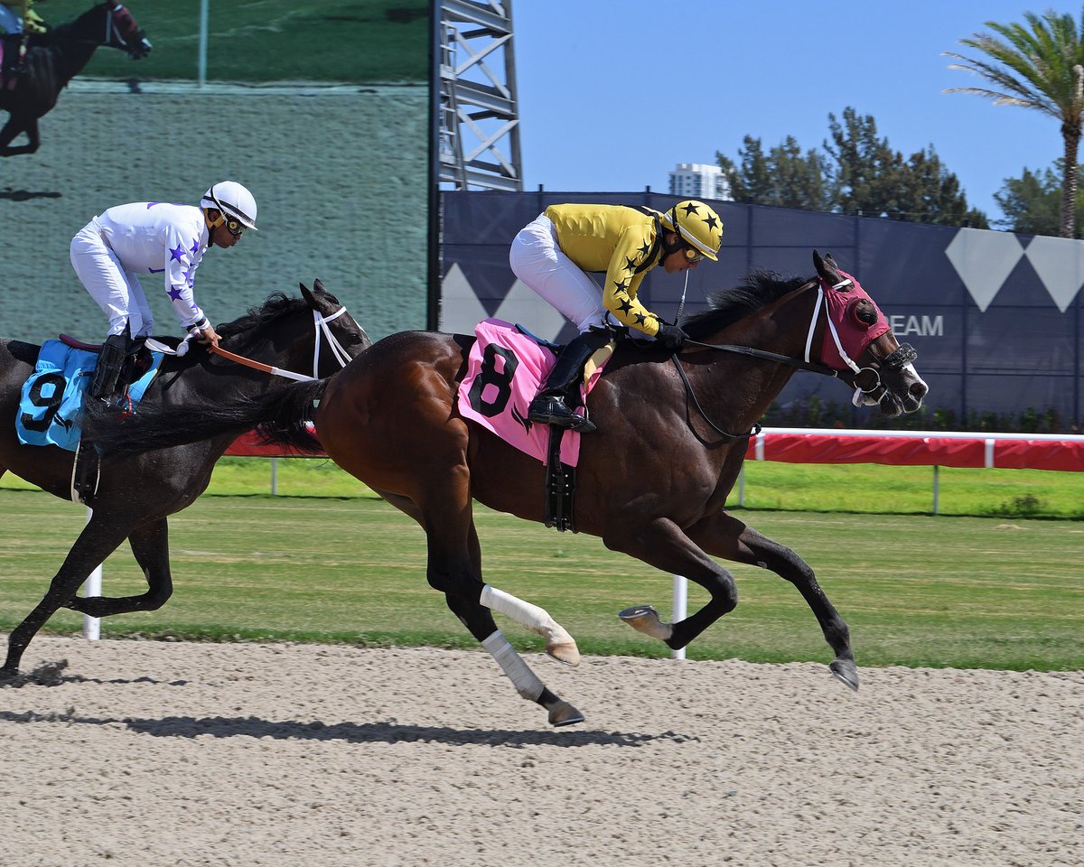 GulfstreamPark's tweet photo. Tenth Mountain powers home to capture the opener, @menesesjockey1 at the reins for trainer @jerryodwyer1. #GulfstreamPark #SunshineMeet https://t.co/lbgeZyJ7gH