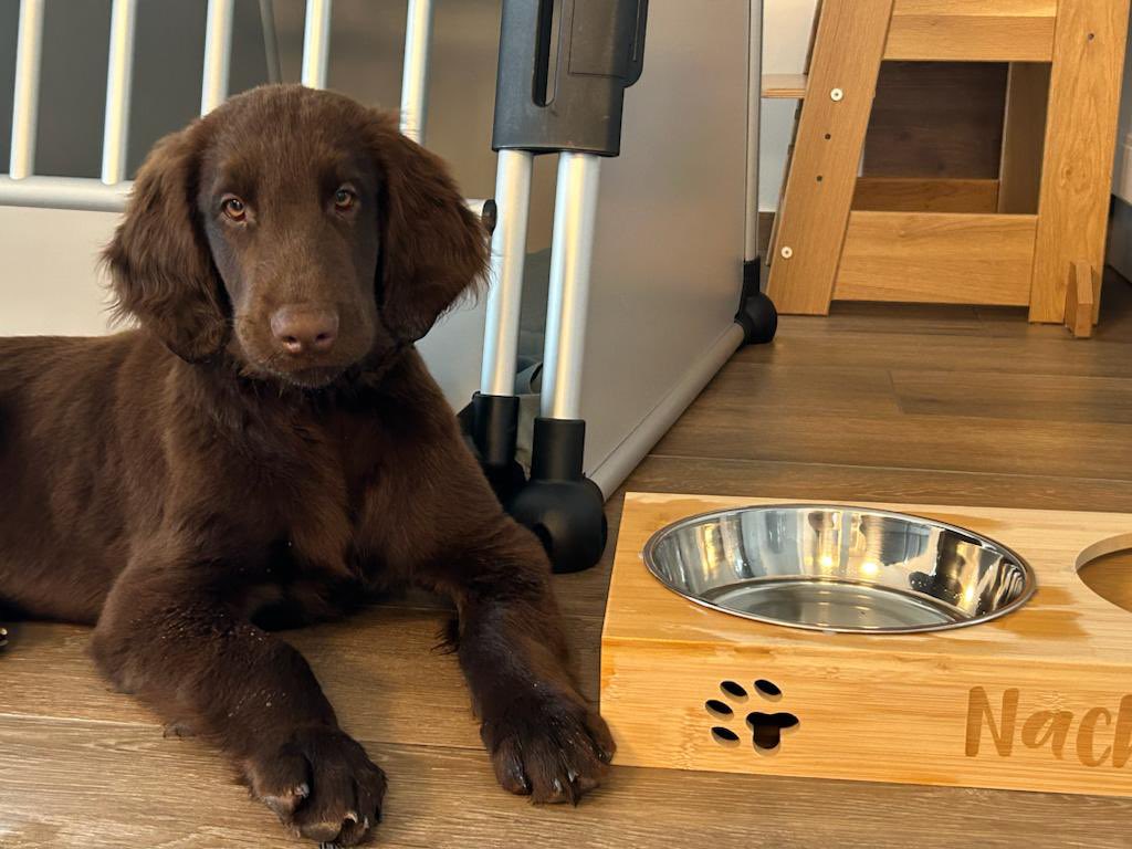 Lukas Kämmerling tweet media