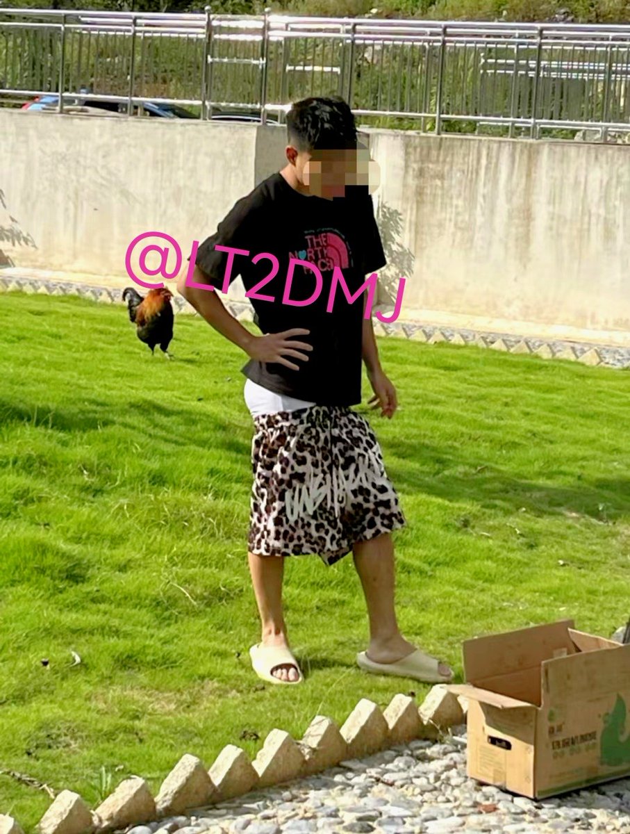 LT2DMJ's tweet image. 如果此刻我掏出我的大鸡巴，请问阁下如果应对？