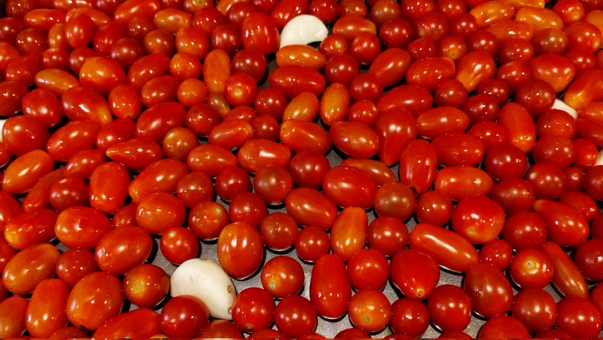 ryangilchrest's tweet photo. When your garden is still cranking out tomatoes and basil in October, just do the obvious thing.

Garden fresh, homemade tomato-basil soup is always the correct answer. https://t.co/5fv6TFoRdI
