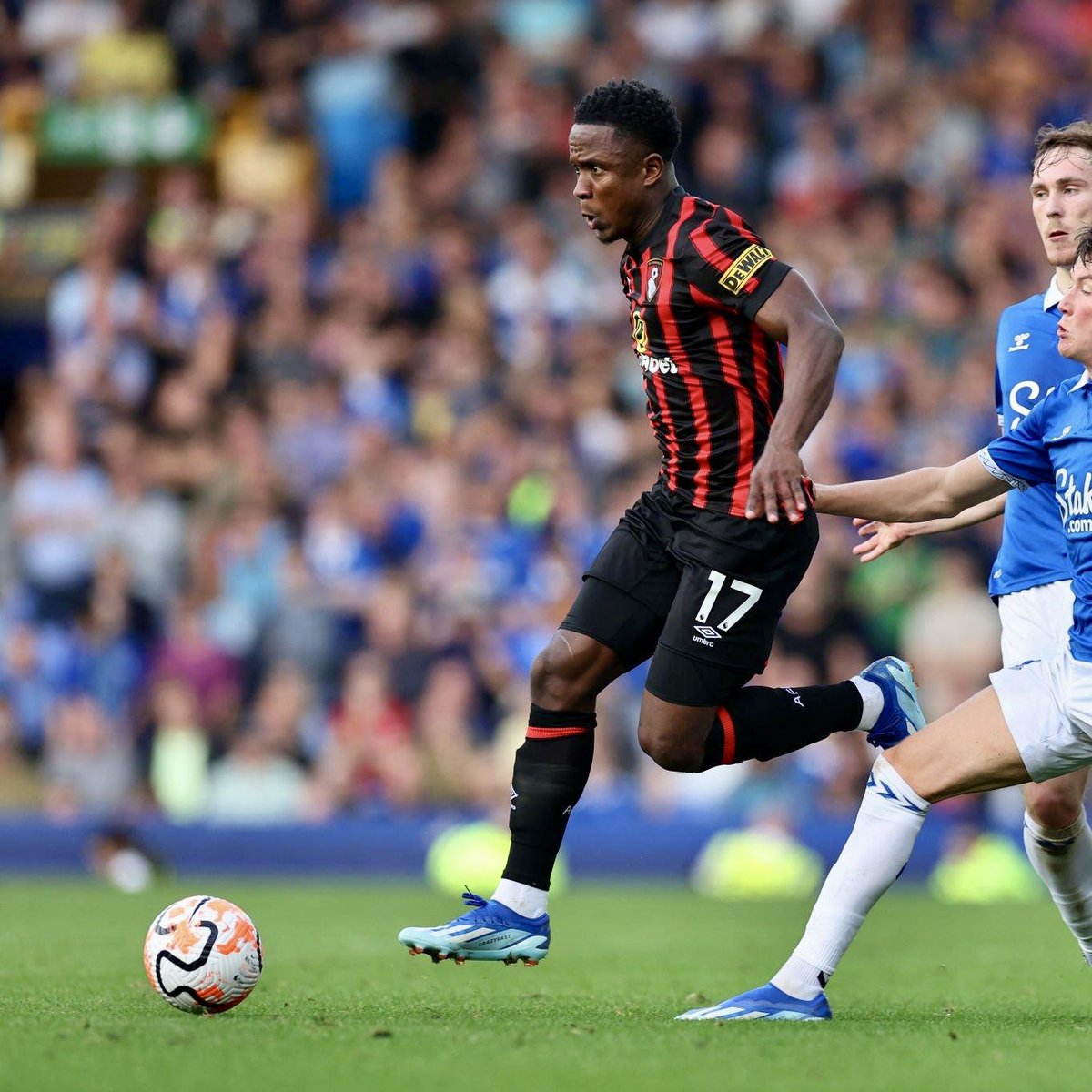 AFCB HUB tweet media