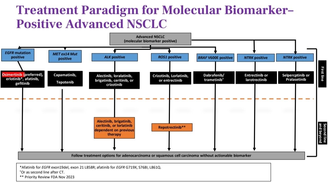 lihaoran's tweet photo. #CAHON At the #NYOF meeting, Dr. @VamsiVelcheti @nyulangone provided a comprehensive overview of the lung cancer treatment landscape. Always enlightening to hear the latest insights and advancements! 🩺🔬 #LungCancer #precisiononcology https://t.co/bMZjuDJcPJ