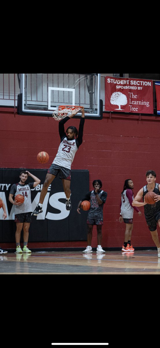 Treylan Smith tweet media