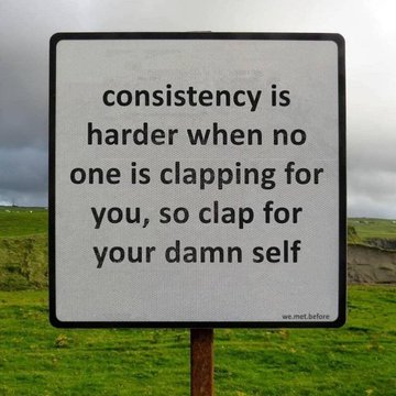 Wise Chimp tweet media