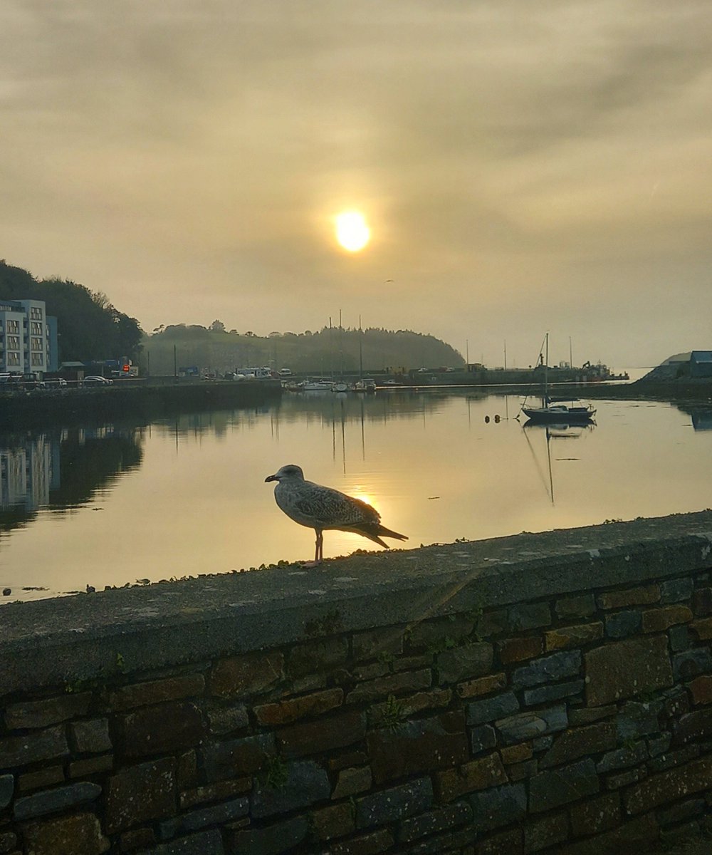 Hazy sunset 🌇 

#BantryBay #WestCork #Cork 
#October7th #PureCork #StormHour