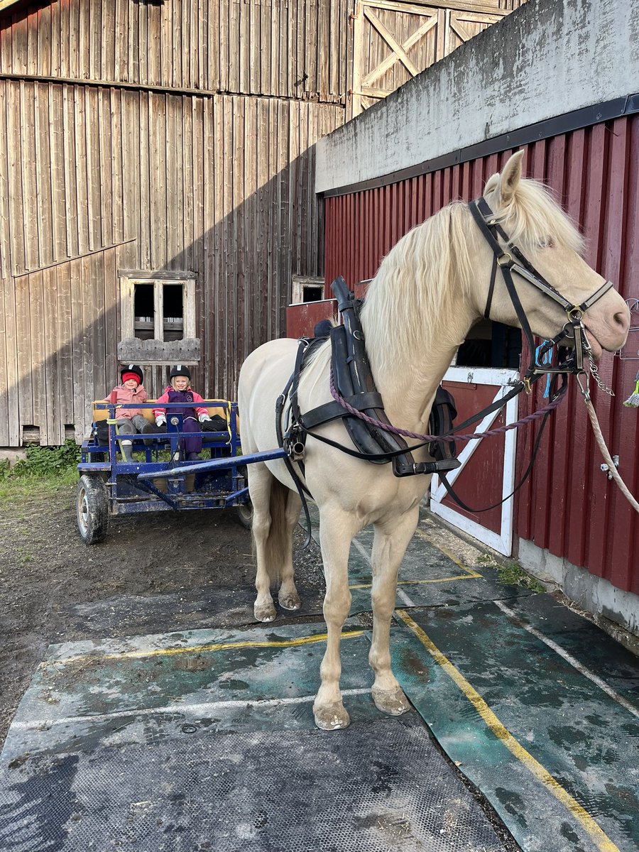 Arverud Oda tok oss med på en riktig fin lørdagstur 🍂🧡