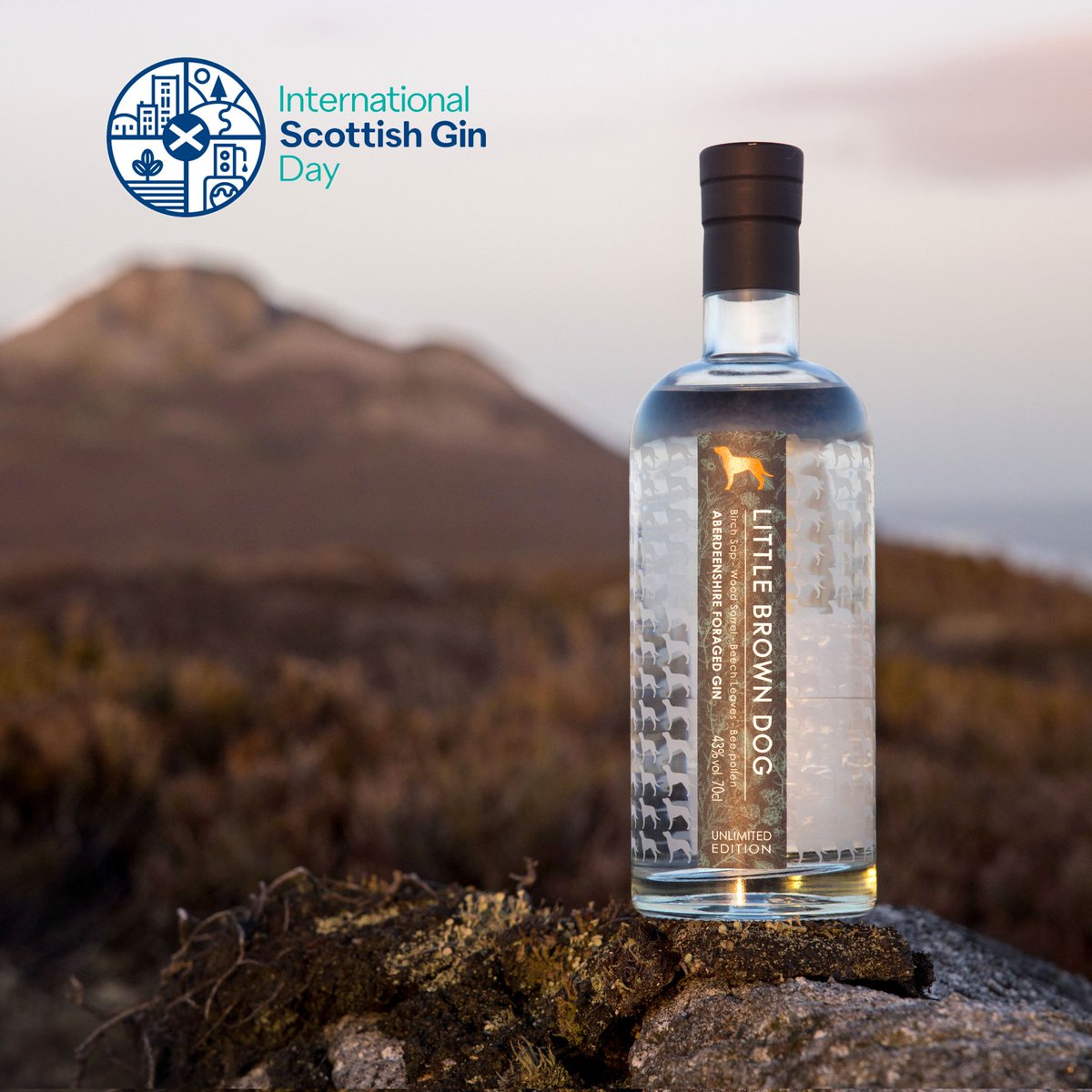 LBDspirits's tweet photo. A trio of gins to celebrate #ISGD
#LatitudeStrength - best scottish Navy Strength Gin 2023
#AberdeenshireForagedGin - Second best distilled Scottish Gin
#projectNEGRONIDEFINITIVO - #LBDGIN matured for 7 months in a sweet vermouth cask
Happy #internationalscottishginday 🍸🏴🍸🏴🍸 https://t.co/teLViXb4Kq